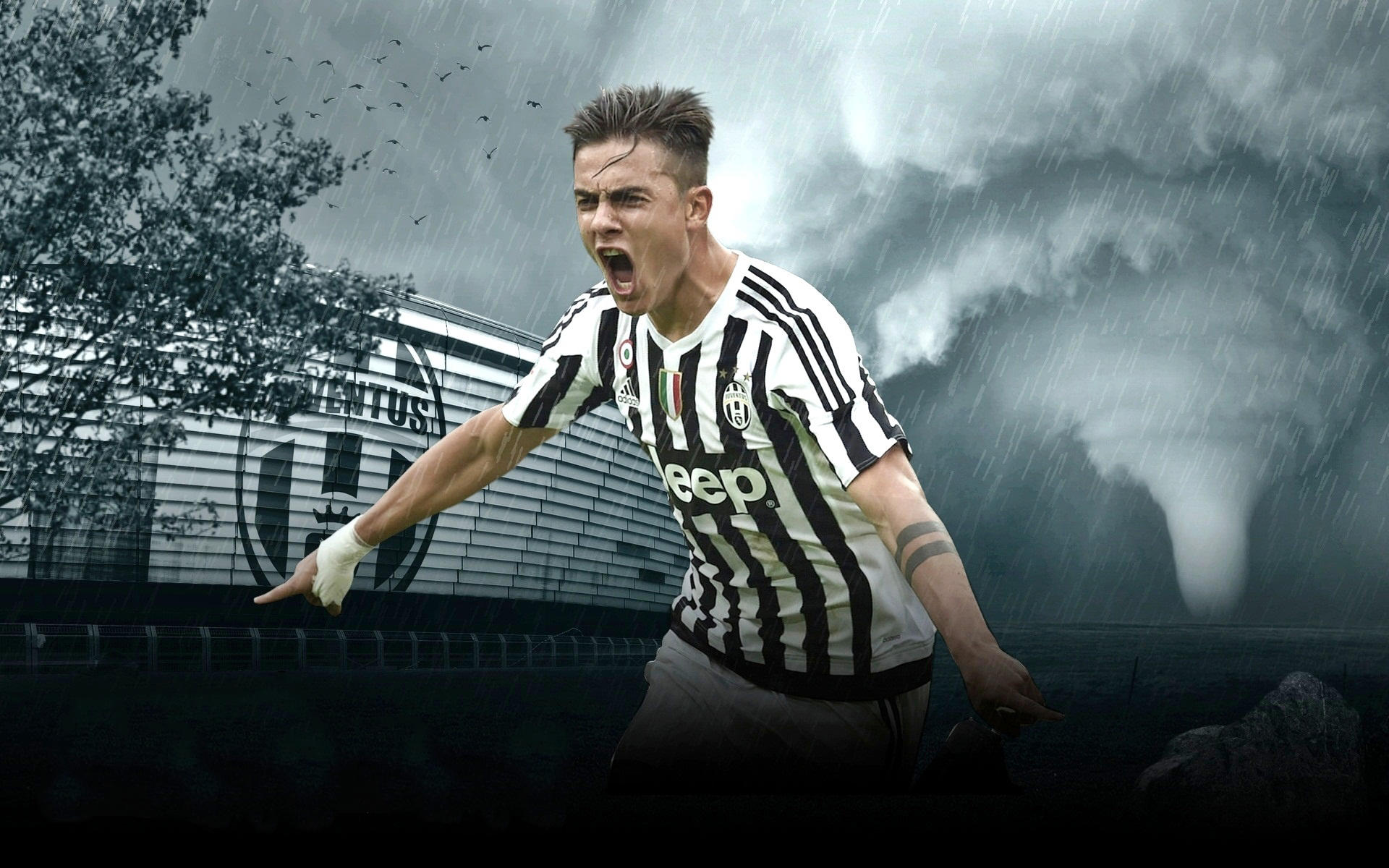 NBA：马刺惨遭连败 文班亚马表现亮眼